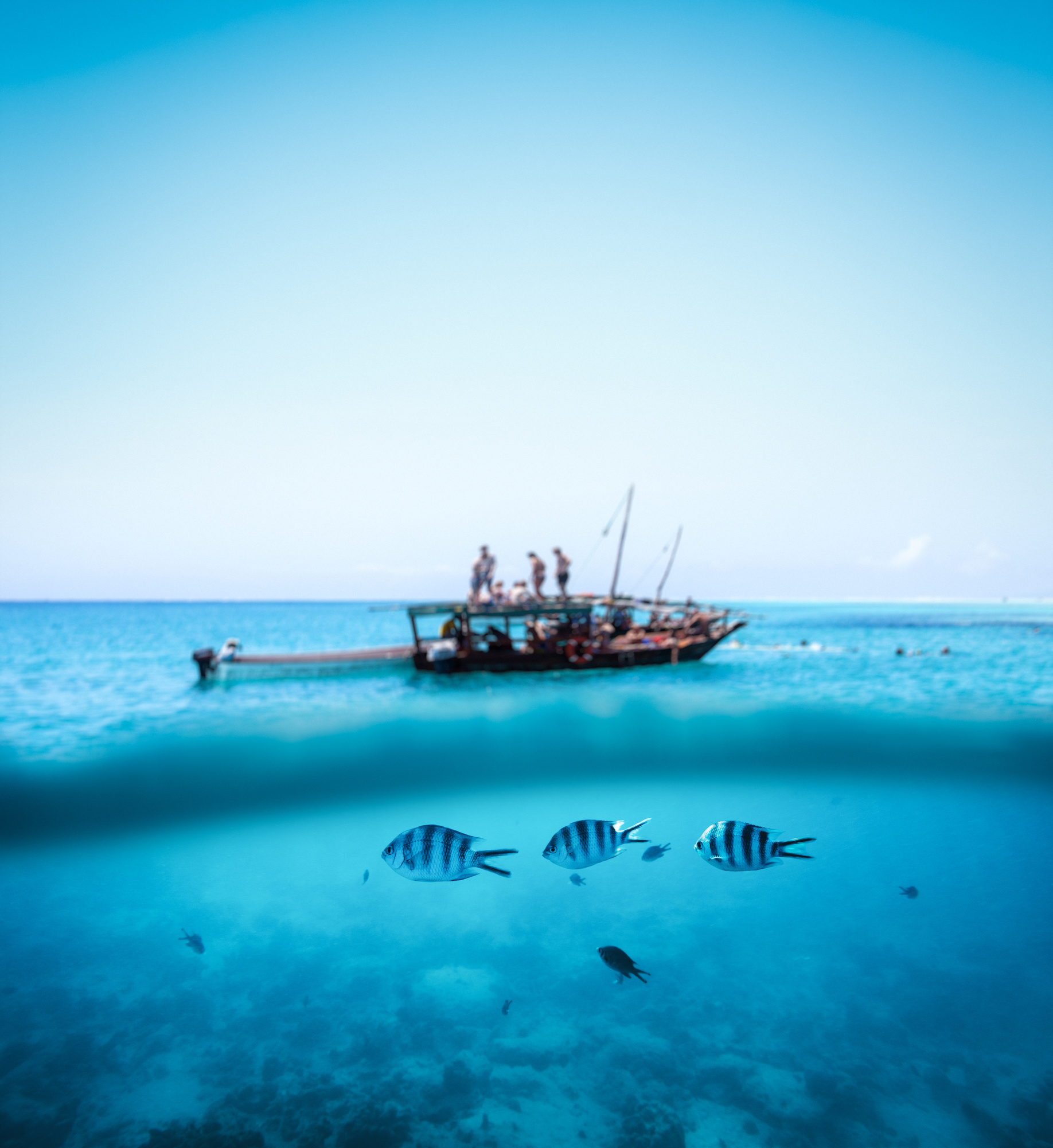 Snorkling On Zanzibar